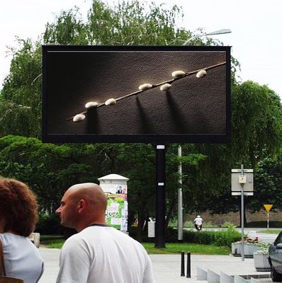 Front Service Outdoor LED Advertising Screen Display P10mm 320x320mm Module